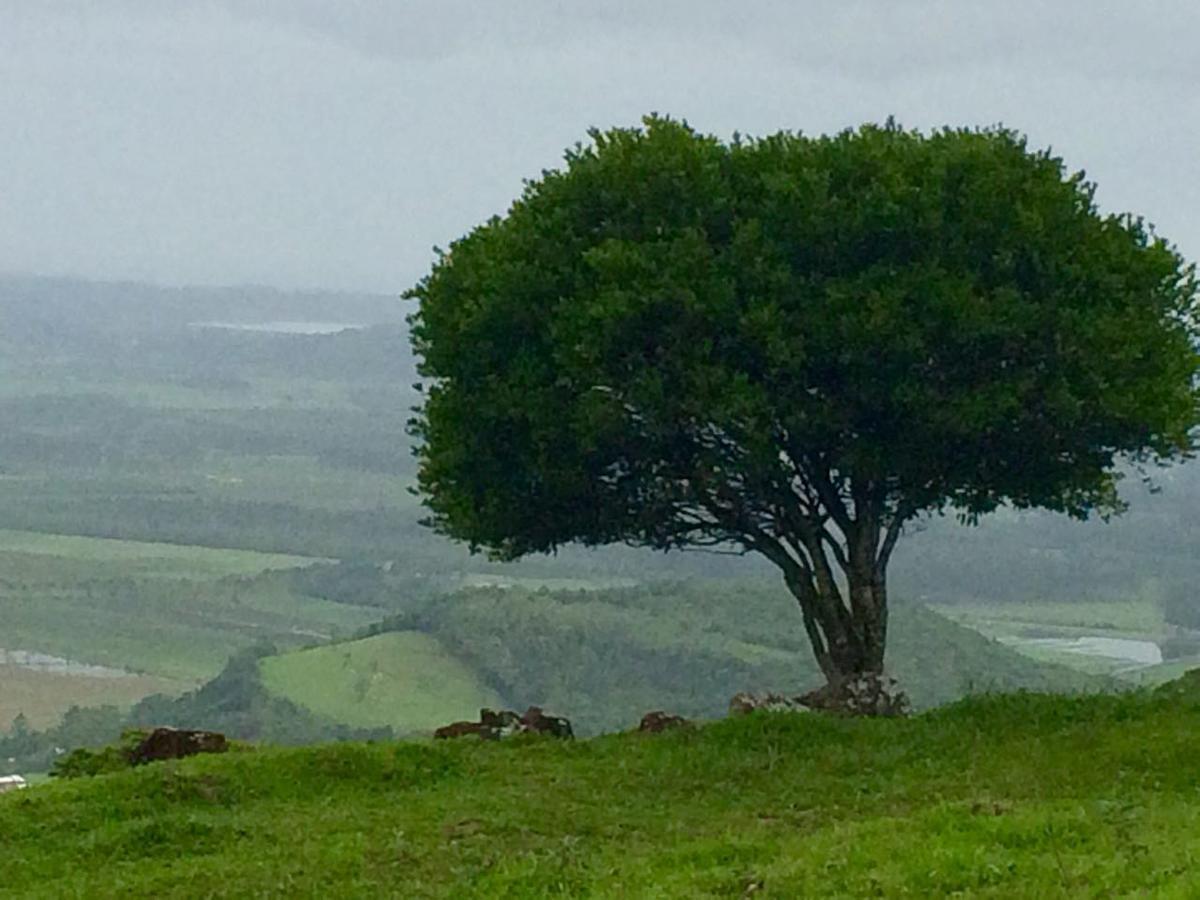 Pousada Do Belvedere - Sitio Ramos Praia Grande  Zewnętrze zdjęcie